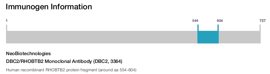DBC2/RHOBTB2 Monoclonal Antibody (DBC2, 3364)