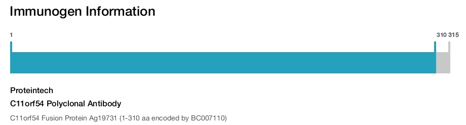 C11orf54 Polyclonal Antibody