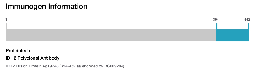 IDH2 Polyclonal Antibody