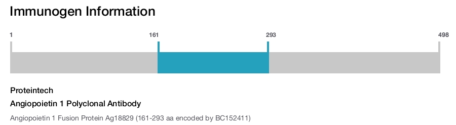 Angiopoietin 1 Polyclonal Antibody