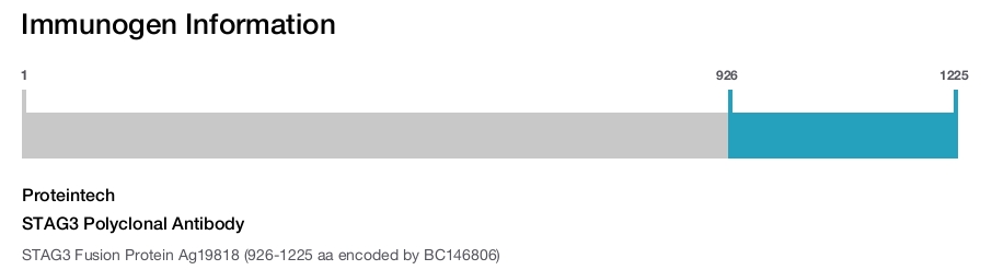 STAG3 Polyclonal Antibody