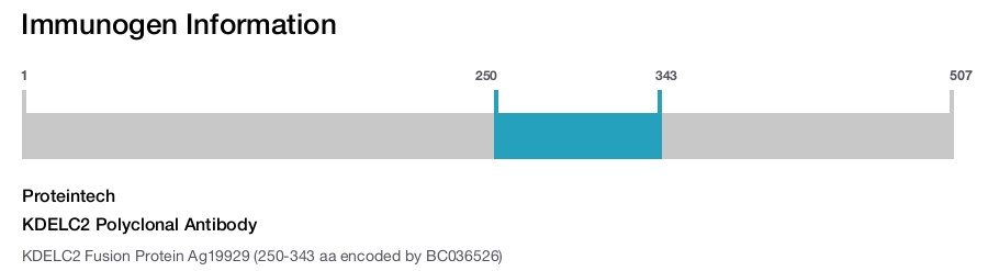 KDELC2 Polyclonal Antibody
