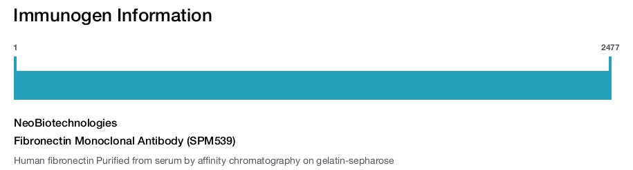 Fibronectin Monoclonal Antibody (SPM539)