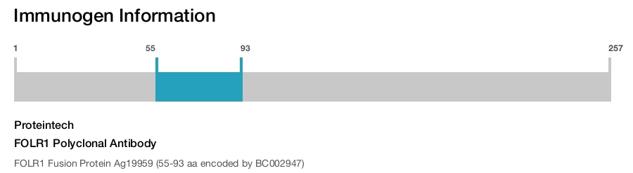 FOLR1 Polyclonal Antibody