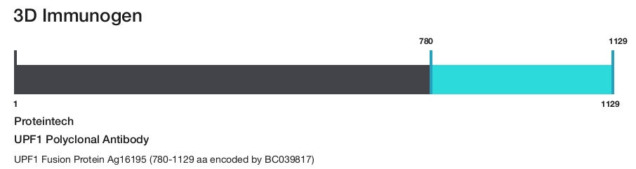 UPF1 Polyclonal Antibody