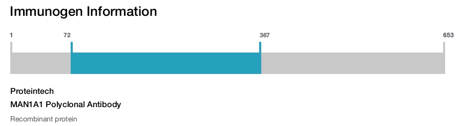 MAN1A1 Polyclonal Antibody