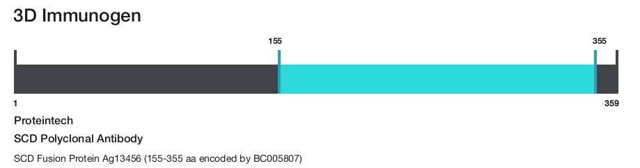 SCD Polyclonal Antibody