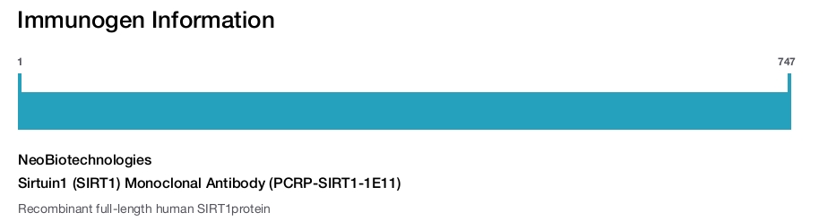 Sirtuin1 (SIRT1) Monoclonal Antibody (PCRP-SIRT1-1E11)