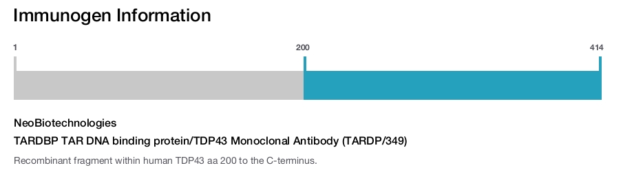 TARDBP TAR DNA binding protein/TDP43 Monoclonal Antibody (TARDP/349)
