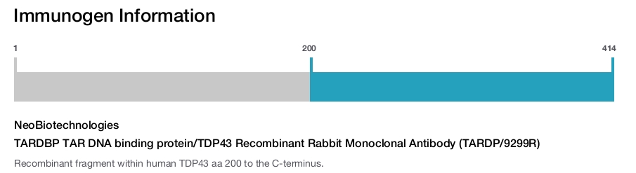 TARDBP TAR DNA binding protein/TDP43 Recombinant Rabbit Monoclonal Antibody (TARDP/9299R)