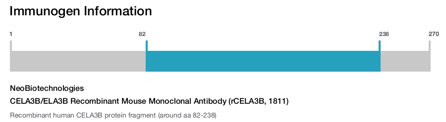 CELA3B/ELA3B Recombinant Mouse Monoclonal Antibody (rCELA3B, 1811)