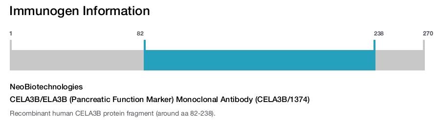 CELA3B/ELA3B (Pancreatic Function Marker) Monoclonal Antibody (CELA3B/1374)
