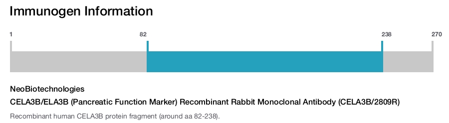 CELA3B/ELA3B (Pancreatic Function Marker) Recombinant Rabbit Monoclonal Antibody (CELA3B/2809R)