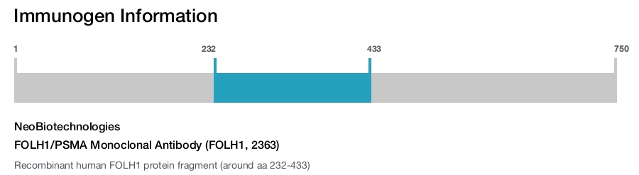 FOLH1/PSMA Monoclonal Antibody (FOLH1, 2363)