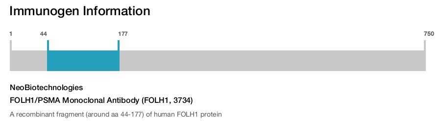 FOLH1/PSMA Monoclonal Antibody (FOLH1, 3734)