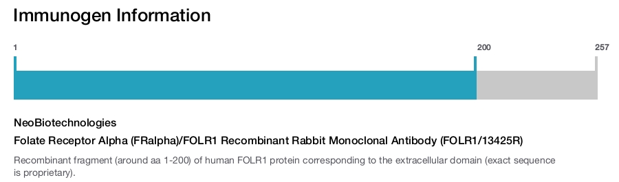 Folate Receptor Alpha (FRalpha)/FOLR1 Recombinant Rabbit Monoclonal Antibody (FOLR1/13425R)