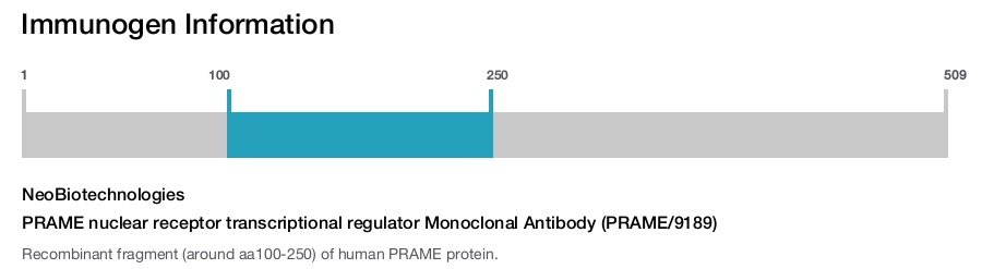 PRAME nuclear receptor transcriptional regulator Monoclonal Antibody (PRAME/9189)