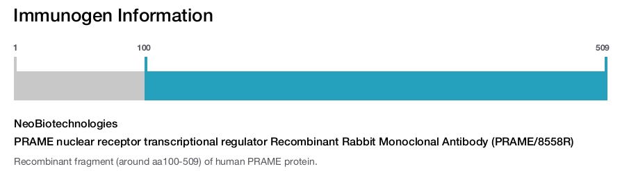 PRAME nuclear receptor transcriptional regulator Recombinant Rabbit Monoclonal Antibody (PRAME/8558R)