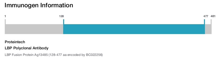 LBP Polyclonal Antibody