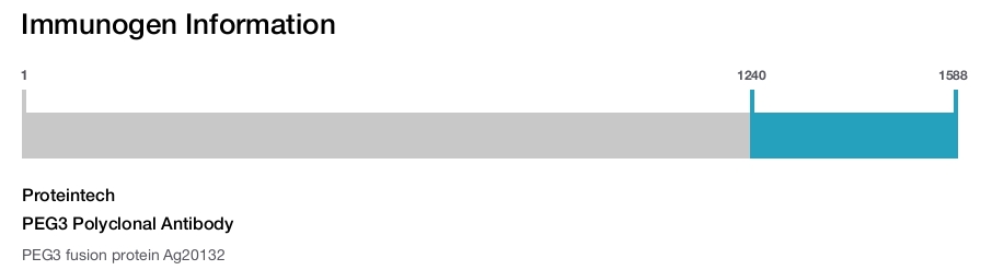 PEG3 Polyclonal Antibody