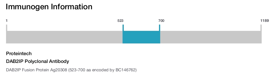 DAB2IP Polyclonal Antibody