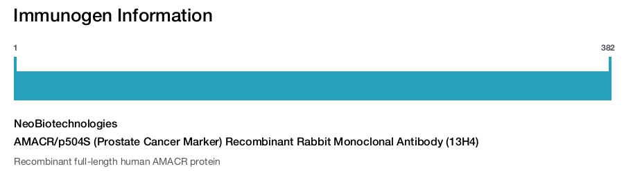 AMACR/p504S (Prostate Cancer Marker) Recombinant Rabbit Monoclonal Antibody (13H4)
