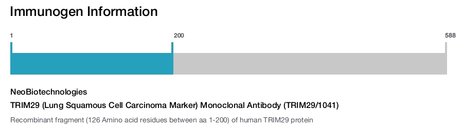 TRIM29 (Lung Squamous Cell Carcinoma Marker) Monoclonal Antibody (TRIM29/1041)