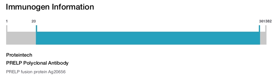 PRELP Polyclonal Antibody