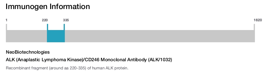 ALK (Anaplastic Lymphoma Kinase)/CD246 Monoclonal Antibody (ALK/1032)