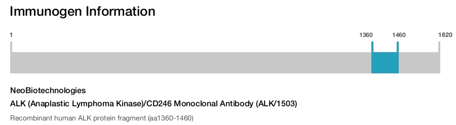 ALK (Anaplastic Lymphoma Kinase)/CD246 Monoclonal Antibody (ALK/1503)