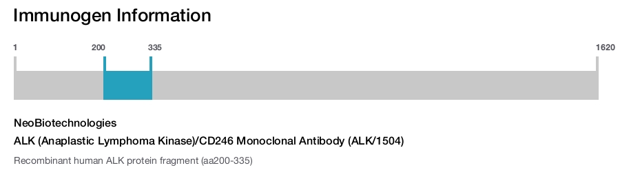 ALK (Anaplastic Lymphoma Kinase)/CD246 Monoclonal Antibody (ALK/1504)