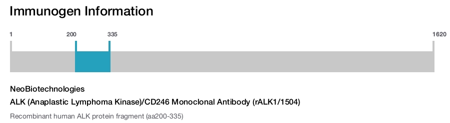 ALK (Anaplastic Lymphoma Kinase)/CD246 Monoclonal Antibody (rALK1/1504)