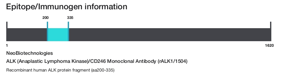 ALK (Anaplastic Lymphoma Kinase)/CD246 Monoclonal Antibody (rALK1/1504)