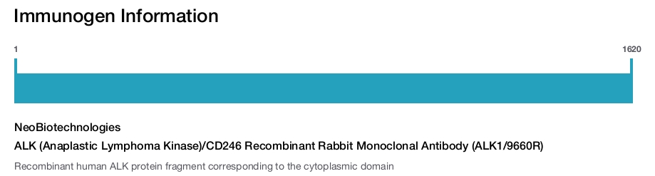 ALK (Anaplastic Lymphoma Kinase)/CD246 Recombinant Rabbit Monoclonal Antibody (ALK1/9660R)