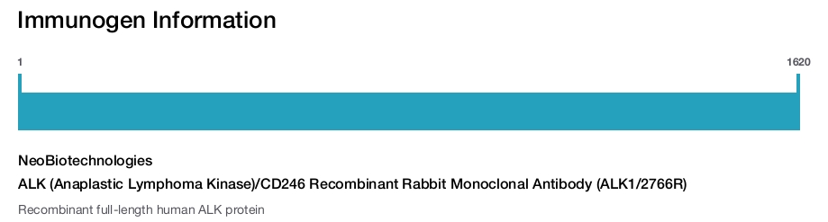 ALK (Anaplastic Lymphoma Kinase)/CD246 Recombinant Rabbit Monoclonal Antibody (ALK1/2766R)