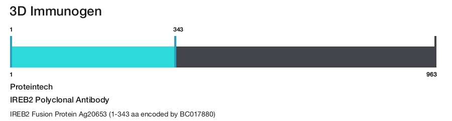 IREB2 Polyclonal Antibody