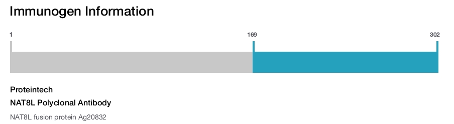 NAT8L Polyclonal Antibody