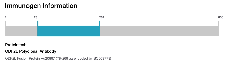ODF2L Polyclonal Antibody