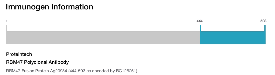 RBM47 Polyclonal Antibody