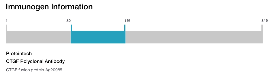 CTGF Polyclonal Antibody