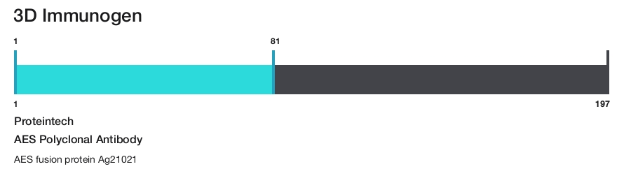 AES Polyclonal Antibody
