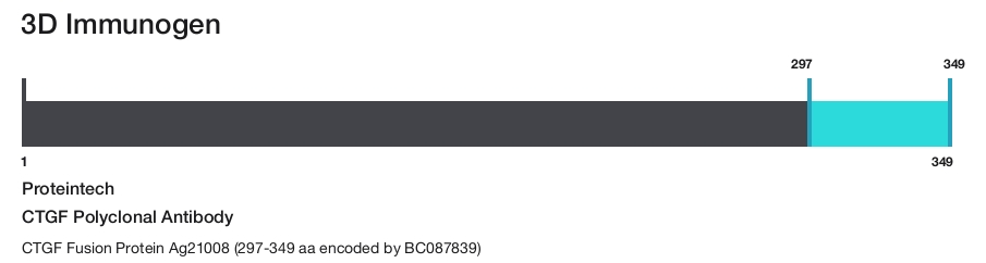 CTGF Polyclonal Antibody