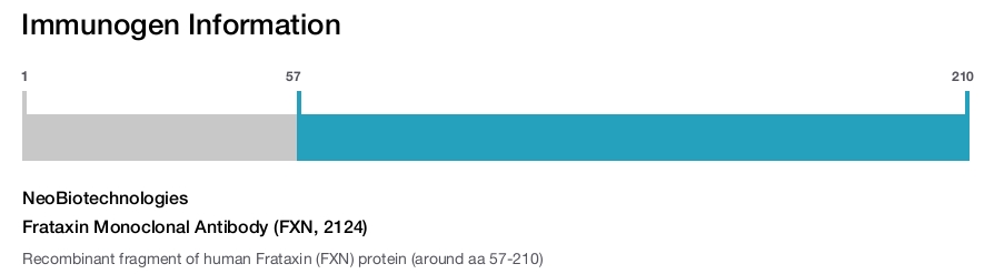 Frataxin Monoclonal Antibody (FXN, 2124)