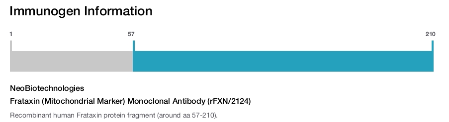 Frataxin (Mitochondrial Marker) Monoclonal Antibody (rFXN/2124)