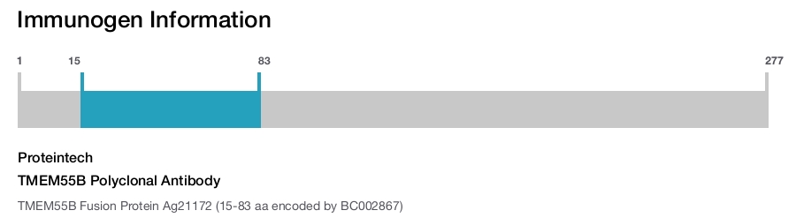 TMEM55B Polyclonal Antibody