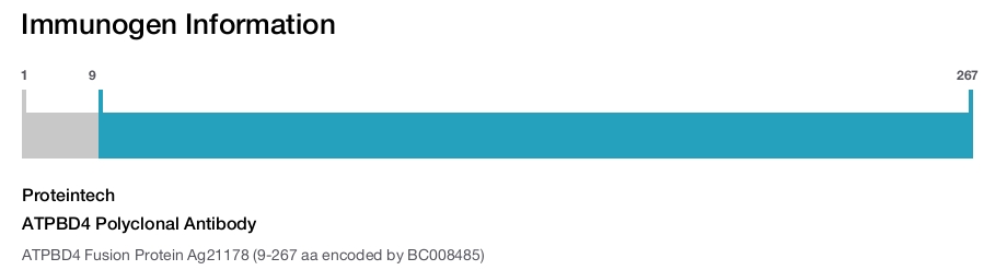ATPBD4 Polyclonal Antibody