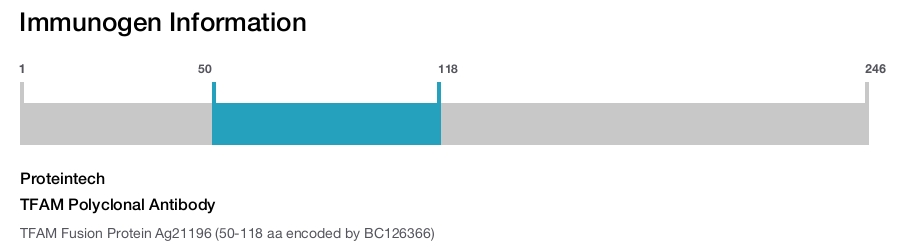 TFAM Polyclonal Antibody
