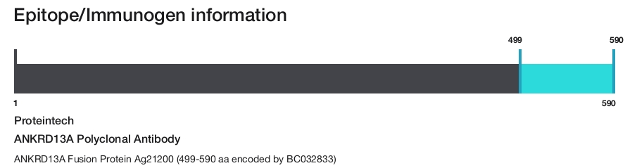 ANKRD13A Polyclonal Antibody