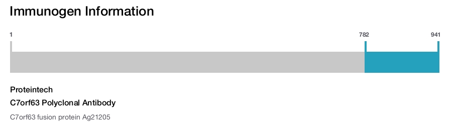 C7orf63 Polyclonal Antibody