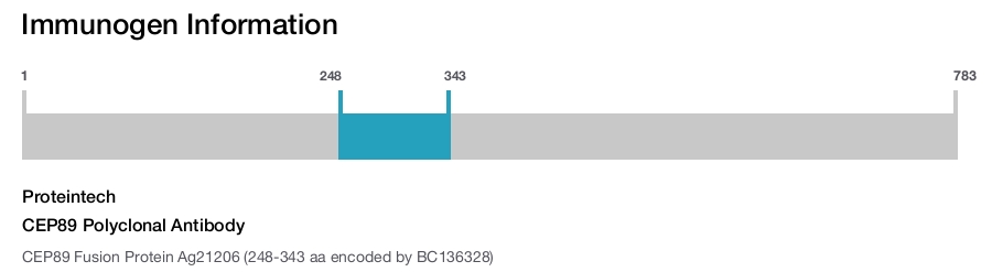 CEP89 Polyclonal Antibody